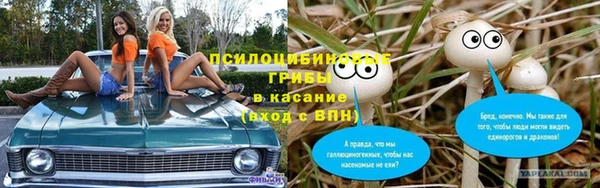 МДПВ Алзамай